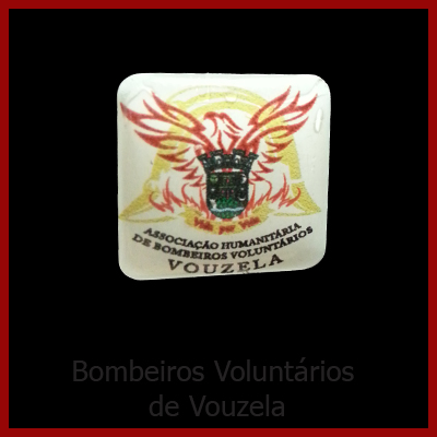 B. V. Vouzela