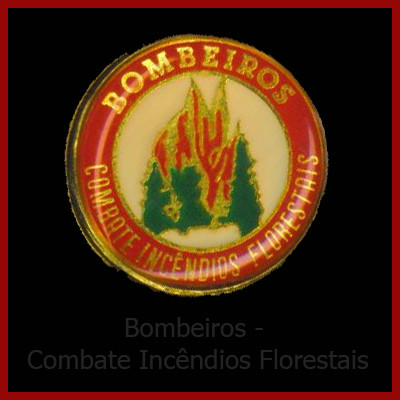 Bombeiros - Combate Incêndios Florestais