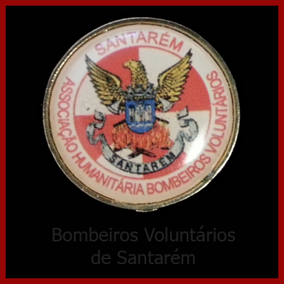 B. V. Santarém