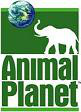 tv-animal planet