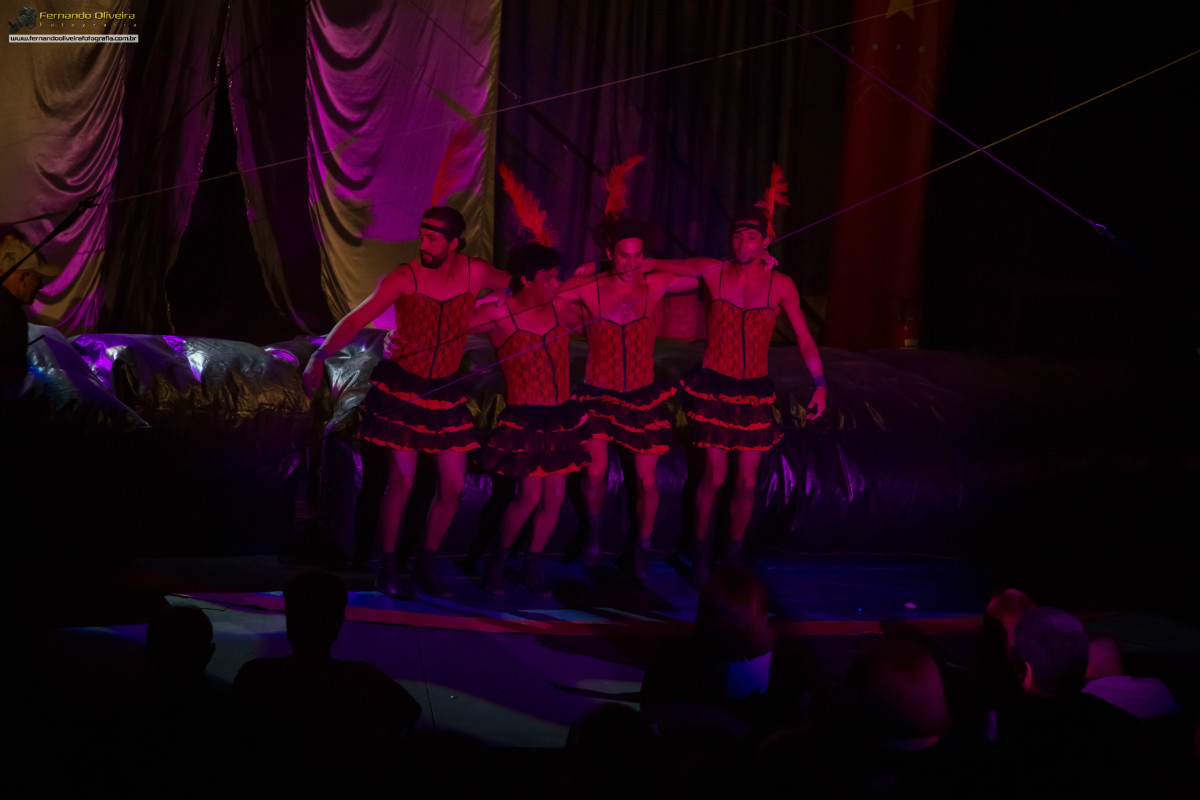 VI FESTIVAL PAULISTA DE CIRCO 2013