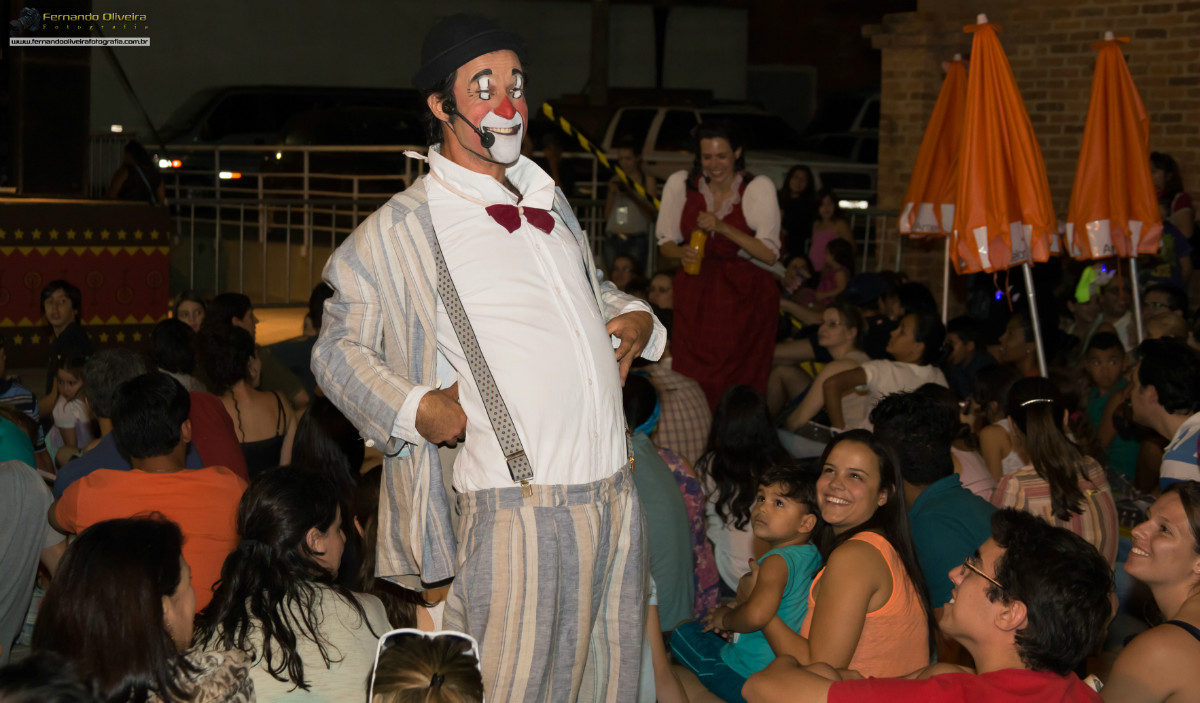 VI FESTIVAL PAULISTA DE CIRCO 2013