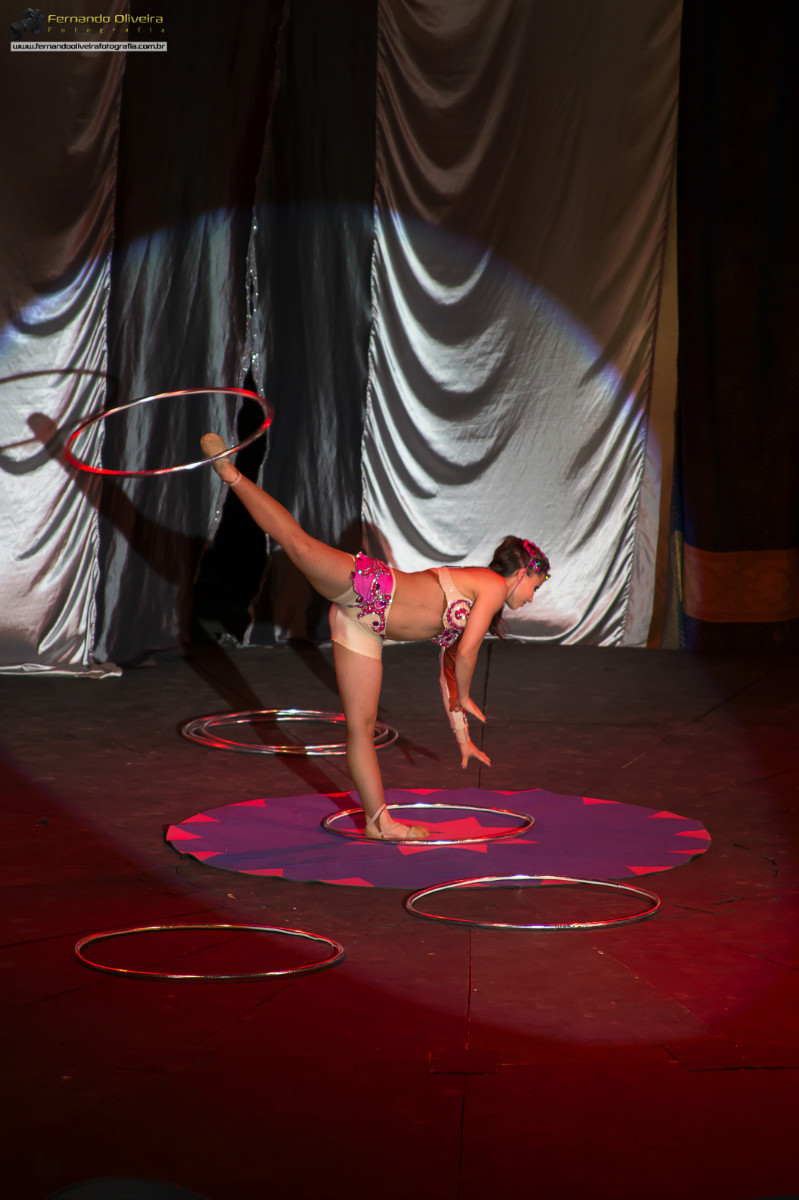 VI FESTIVAL PAULISTA DE CIRCO 2013