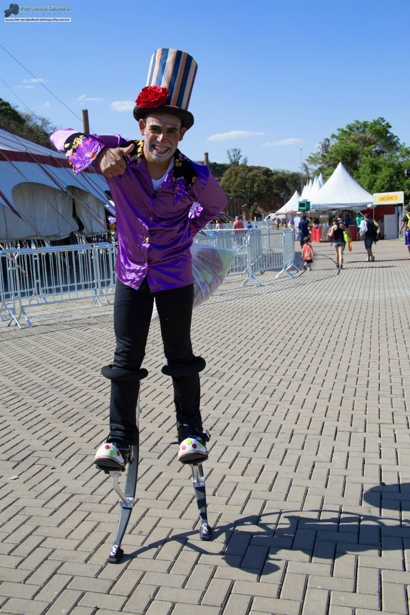 VI FESTIVAL PAULISTA DE CIRCO 2013