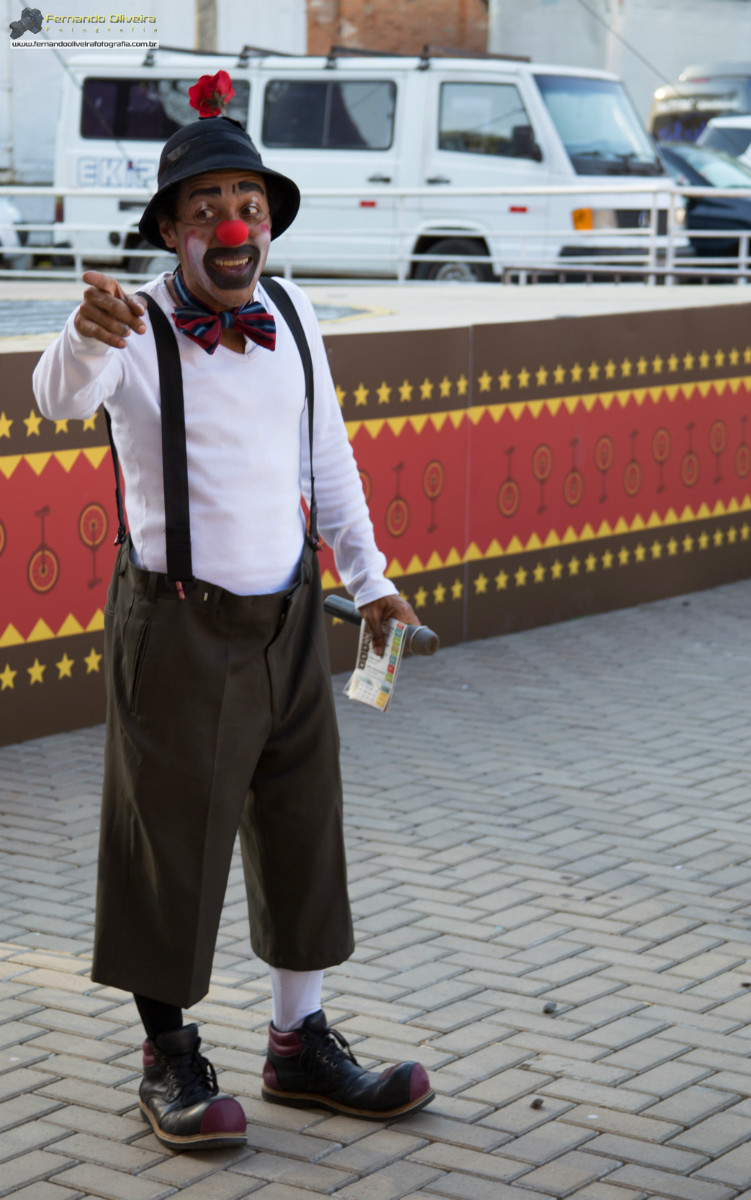 VI FESTIVAL PAULISTA DE CIRCO 2013