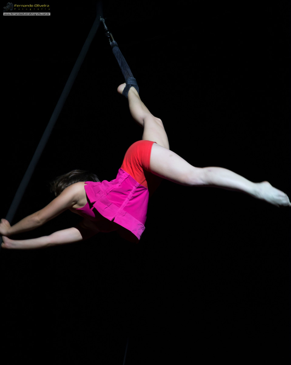 VI FESTIVAL PAULISTA DE CIRCO 2013
