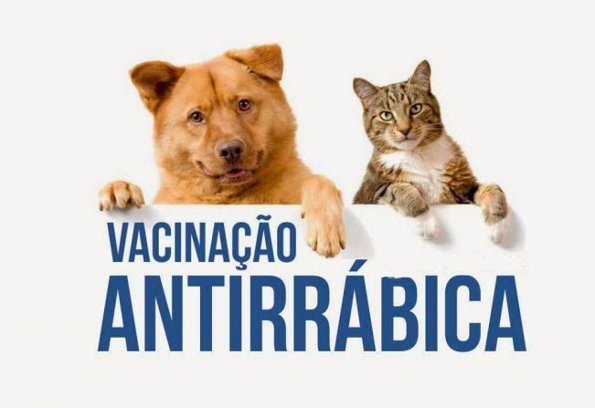 SMS de Pau D'arco do Piauí, publica cronograma de vacinação antirrábica