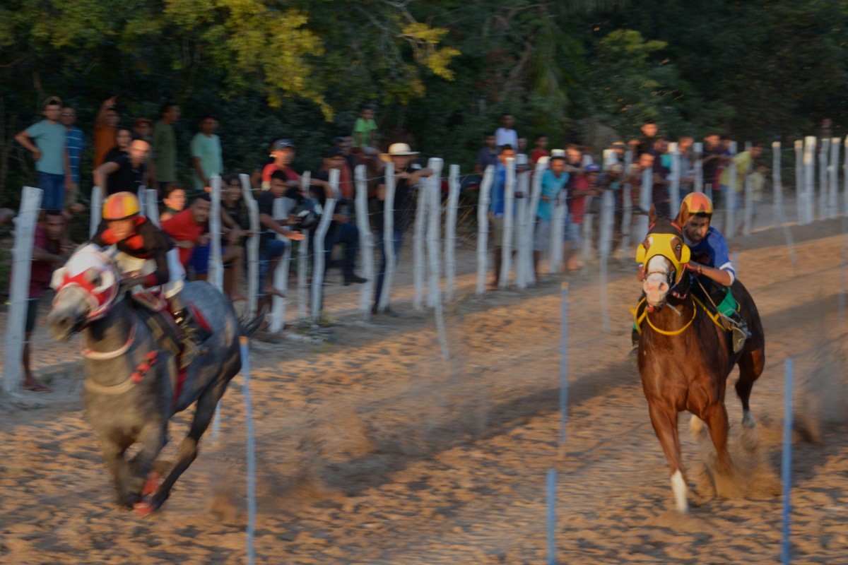 Festejos de Pau D'arco do Piauí - Dia do Vaqueiro - 2023