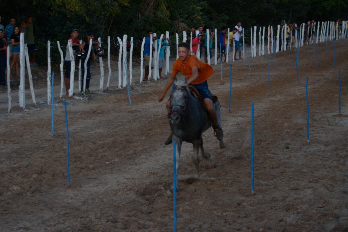 Festejos de Pau D'arco do Piauí - Dia do Vaqueiro - 2023