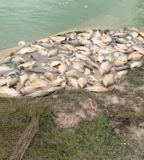 GRUPO SIND&Ocirc; MOVIMENTA SEMANA SANTA EM PAU D&rsquo;ARCO DO PIAU&Iacute;