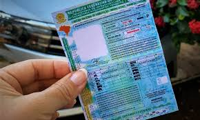 Governo Federal vai oferecer cursos gratuitos para obtenção da carteira de motorista