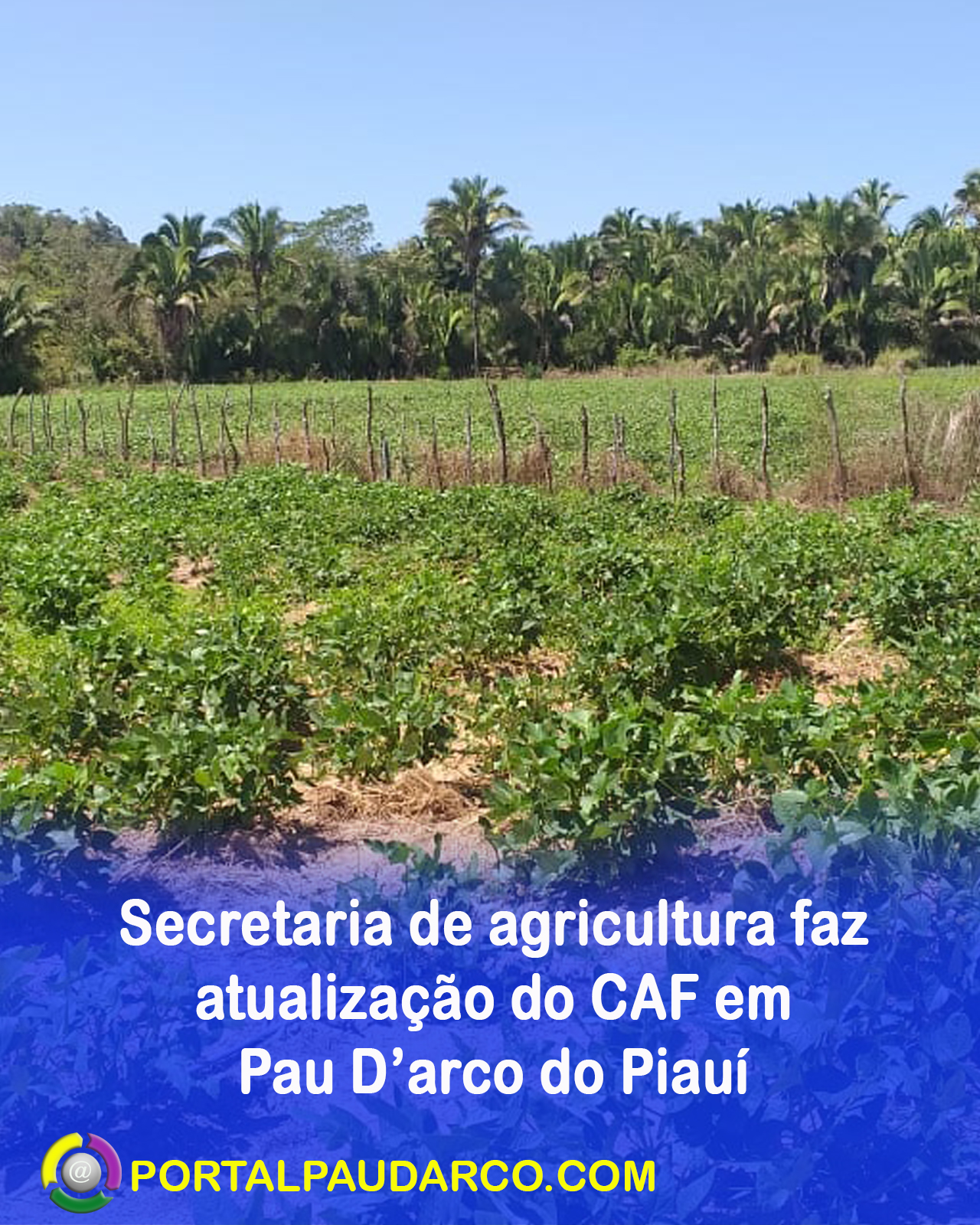 Secretaria de agricultura faz atualização do CAF em Pau D’arco do Piauí