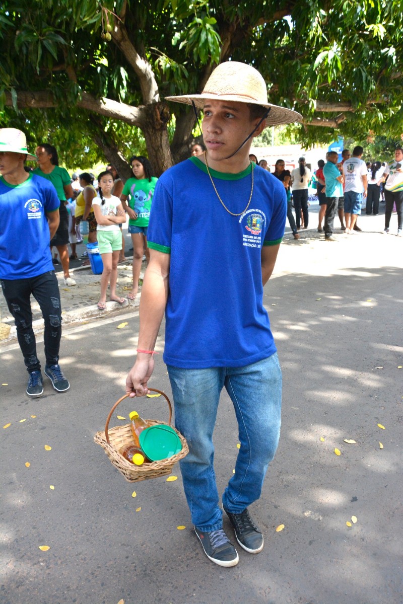 Prefeitura de Pau D’arco do Piauí realiza desfile cívico de 7 de Setembro: Meio Ambiente foi o tema do desfile