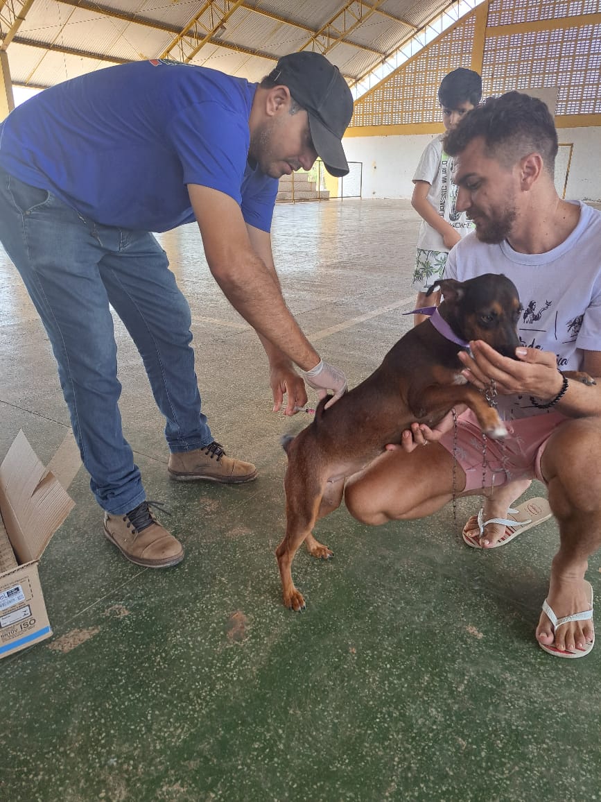 SMS de Pau D’arco do Piauí realiza Dia “D” da Campanha de Vacinação Antirrábica na zona urbana