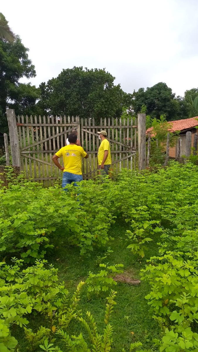 Agentes de endemias intensificam ações de combate à dengue em Pau D’arco do Piauí