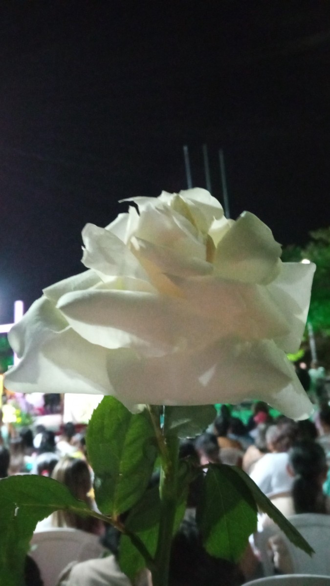 PARÓQUIA DE NOSSA SENHORA DOS HUMILDES – ALTO LONGÁ, REALIZA MISSA DAS ROSAS EM HOMENAGEM AO DIA DAS MÃES