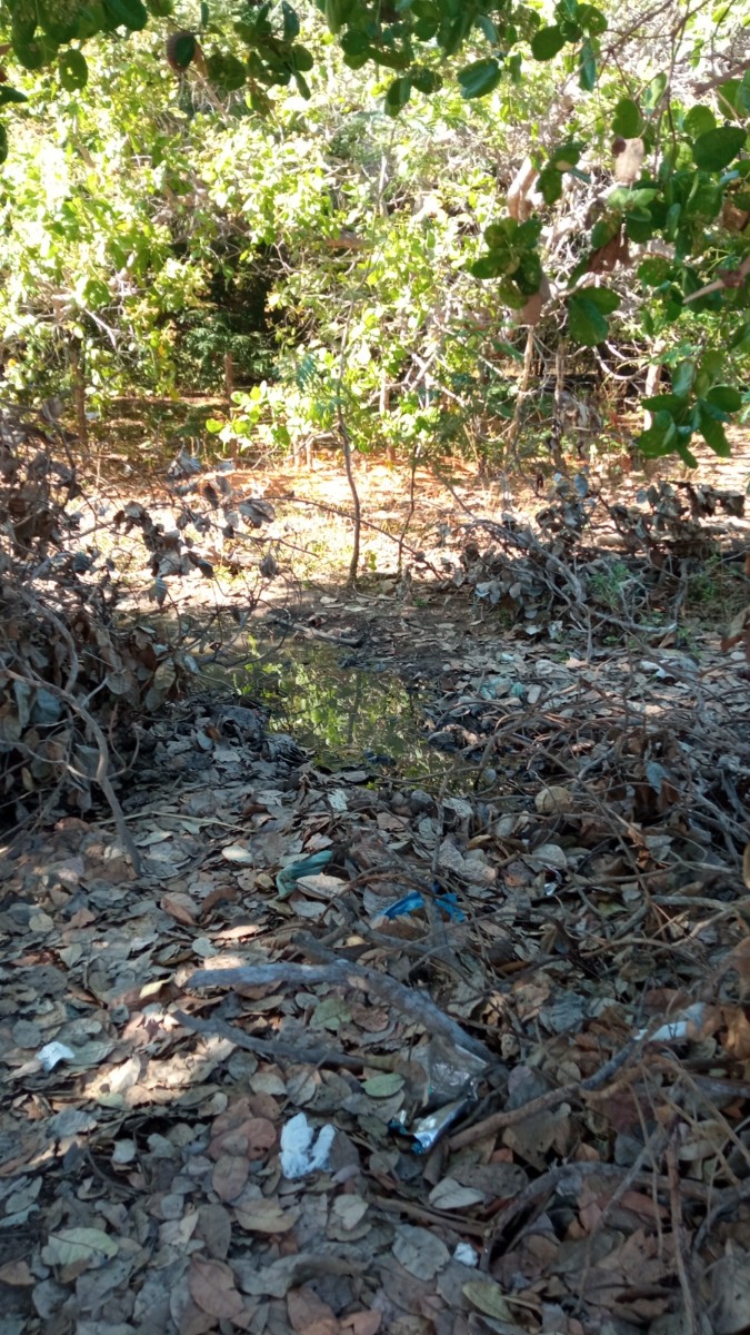 Secretaria de saúde de Pau D’arco do Piauí realiza mutirão contra a Dengue