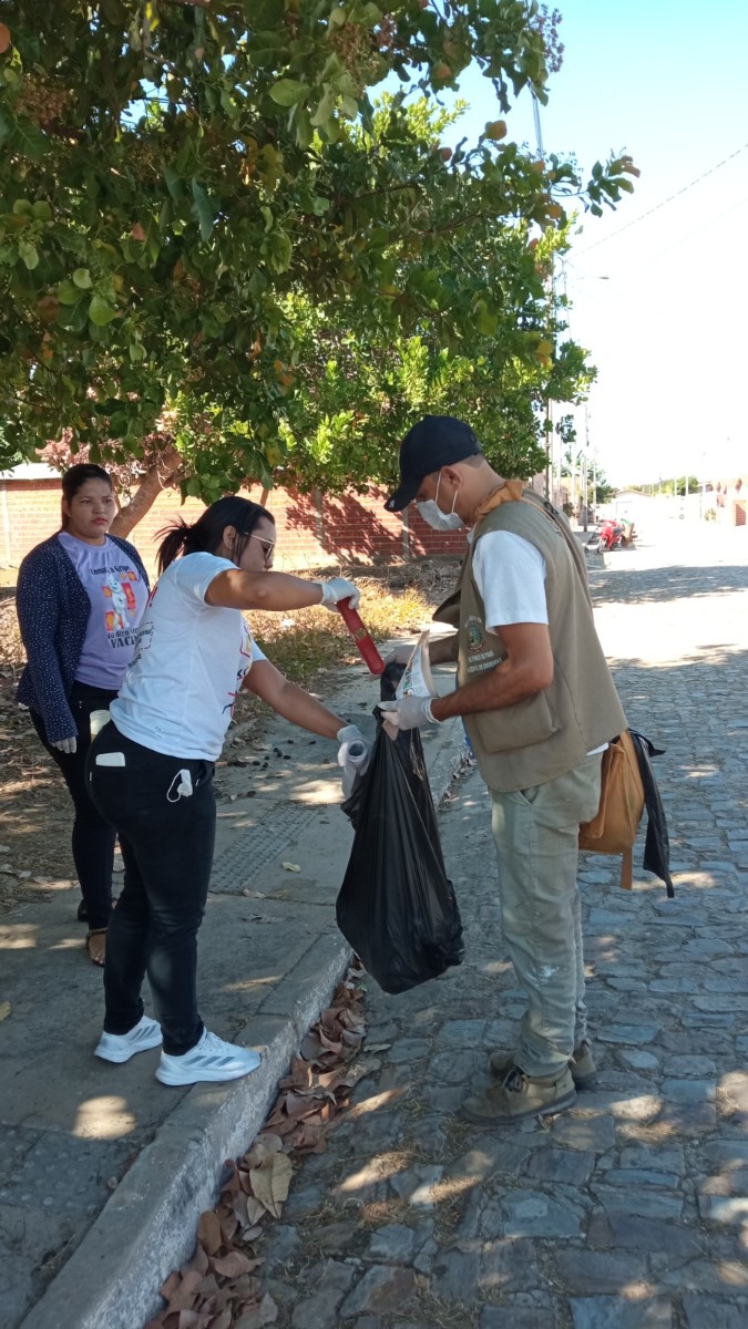 Secretaria de saúde de Pau D’arco do Piauí realiza mutirão contra a Dengue