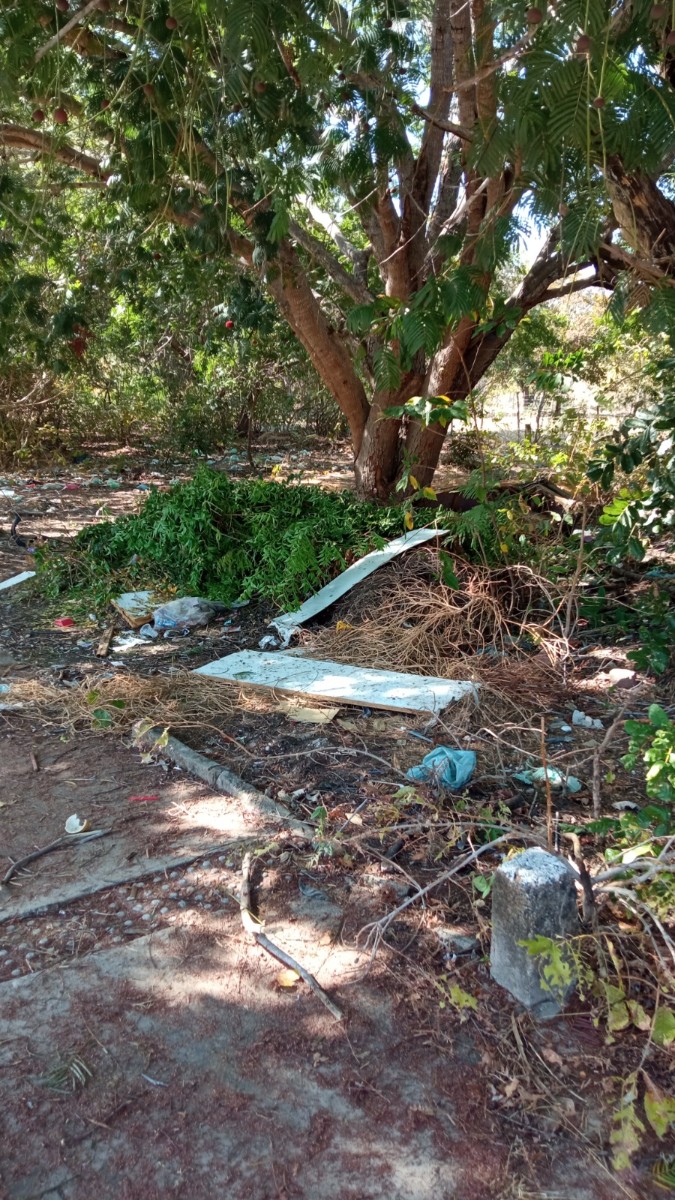 Secretaria de saúde de Pau D’arco do Piauí realiza mutirão contra a Dengue