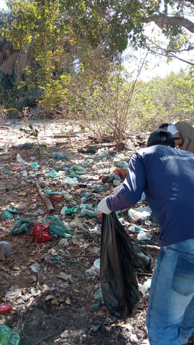 Secretaria de saúde de Pau D’arco do Piauí realiza mutirão contra a Dengue
