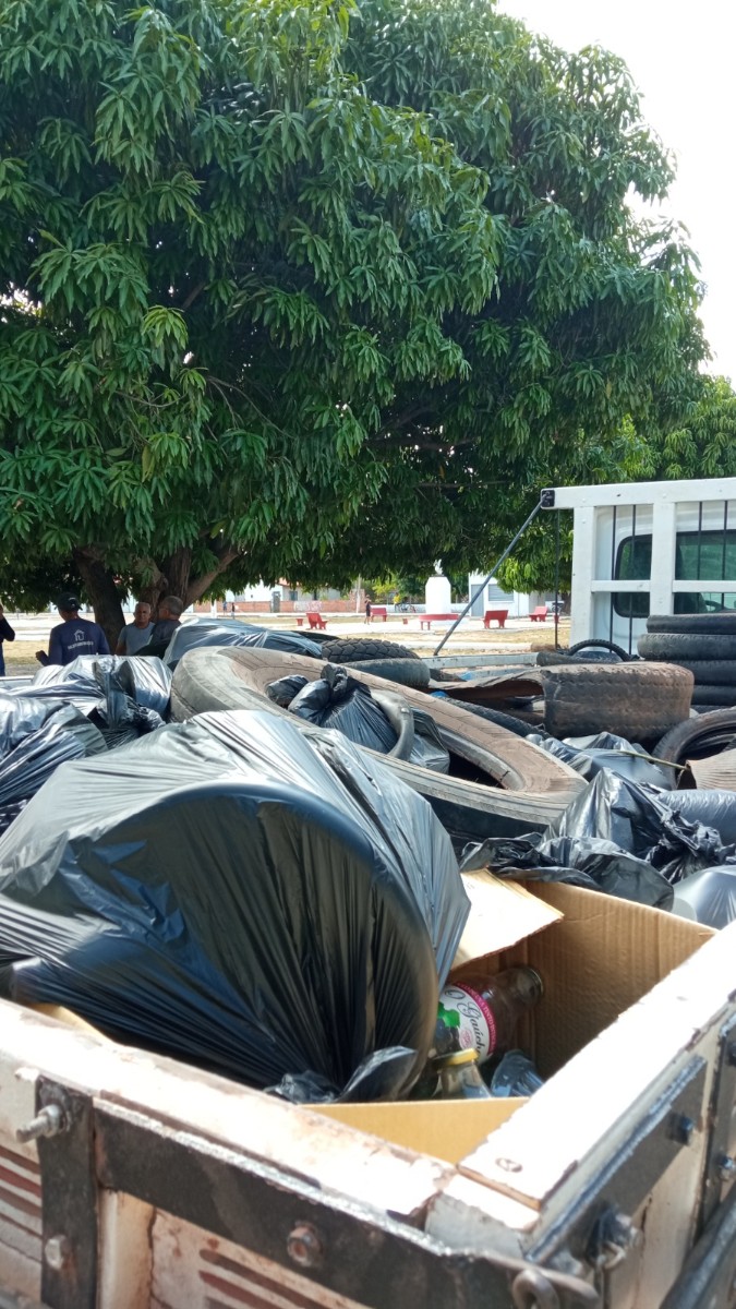 Secretaria de saúde de Pau D’arco do Piauí realiza mutirão contra a Dengue