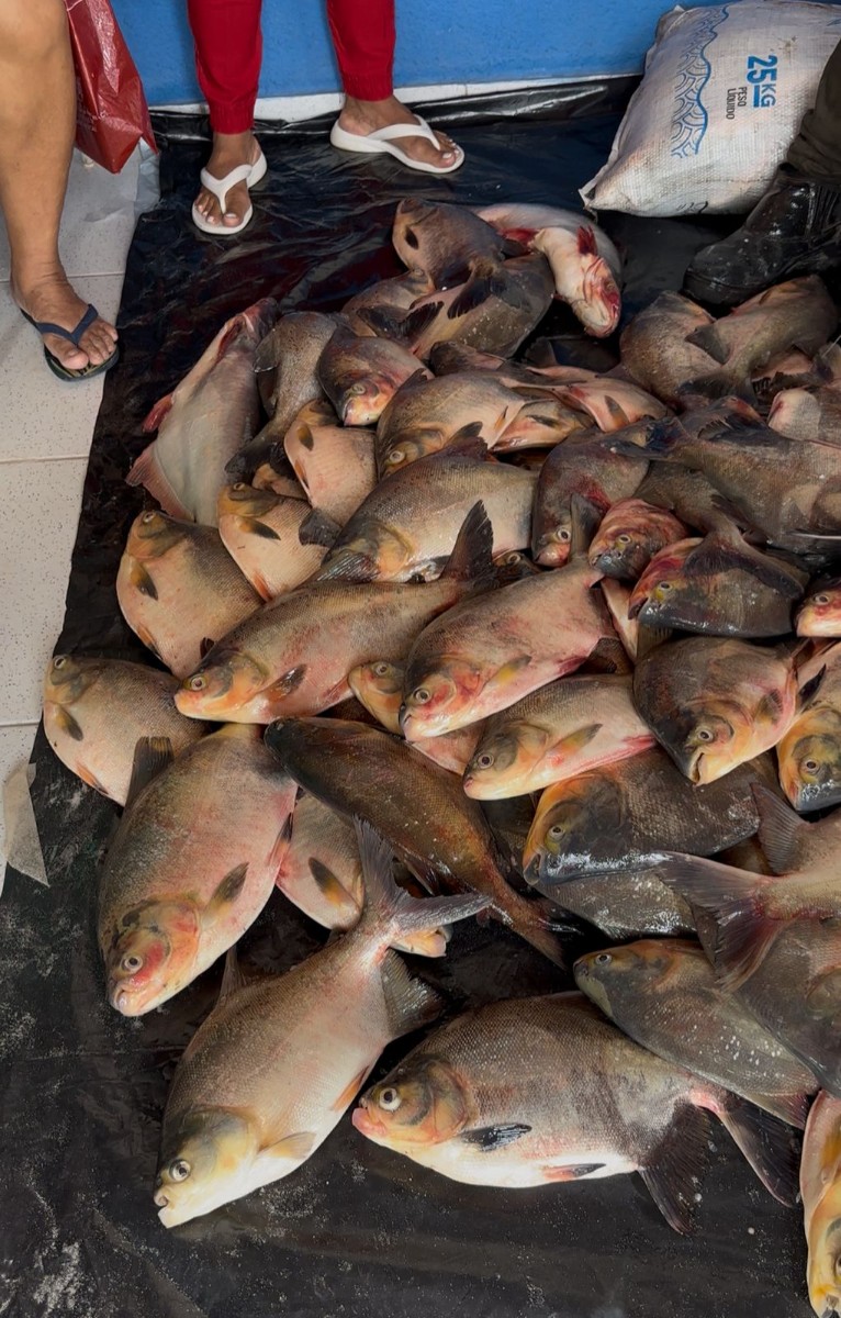 Prefeitura de Pau D’Arco do Piauí realiza entrega de peixes na Semana Santa