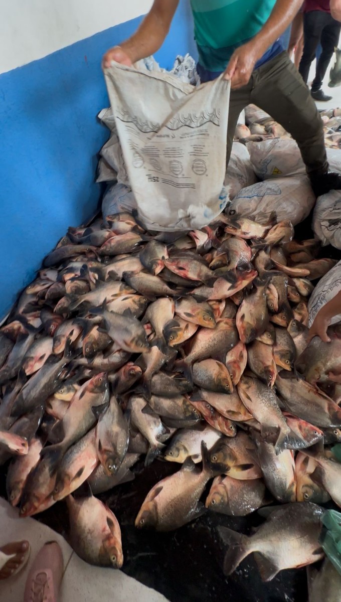 Prefeitura de Pau D’Arco do Piauí realiza entrega de peixes na Semana Santa