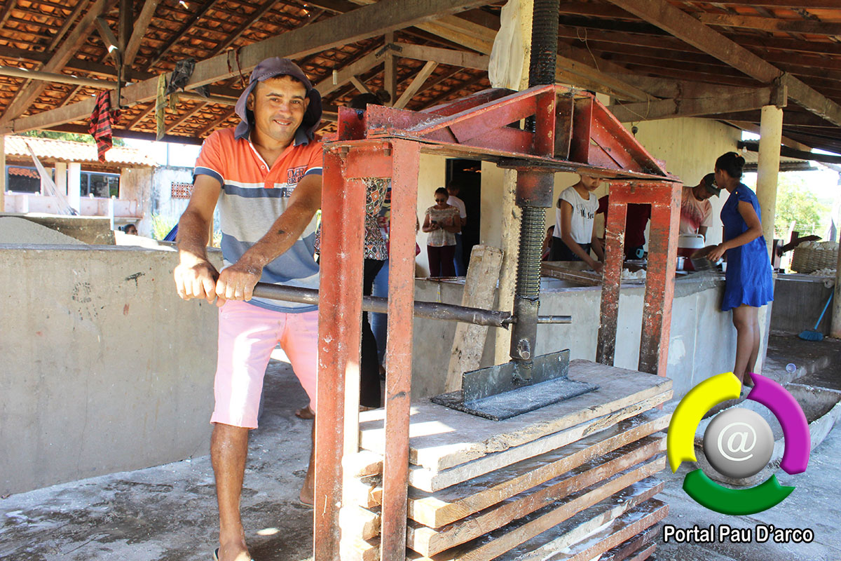 Famílias na zona rural de Pau D’arco do Piauí mantém viva tradição da farinhada