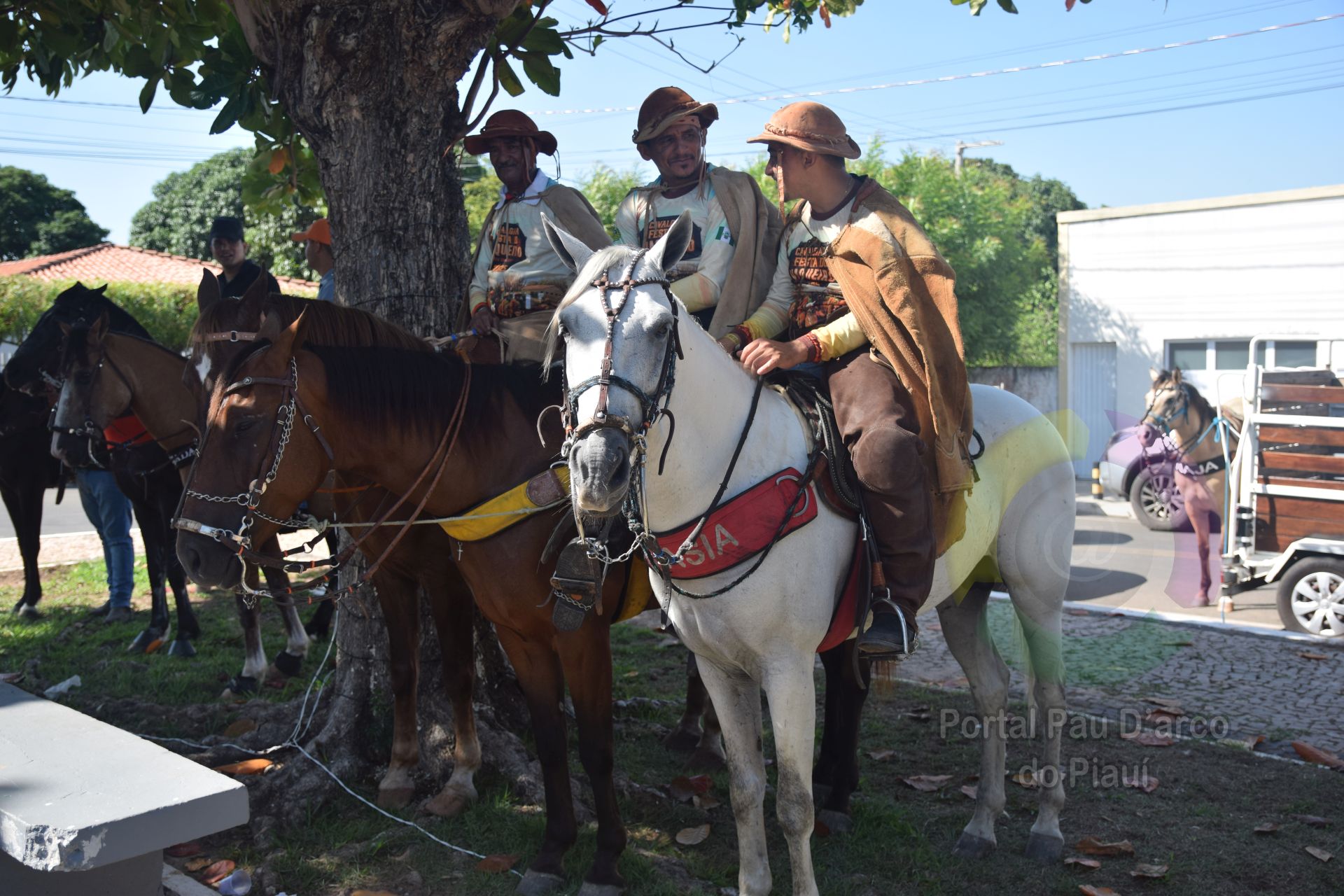 Prefeitura de Alto Long&aacute; realiza o maior dia do vaqueiro da hist&oacute;ria no Festejo da padroeira da cidade