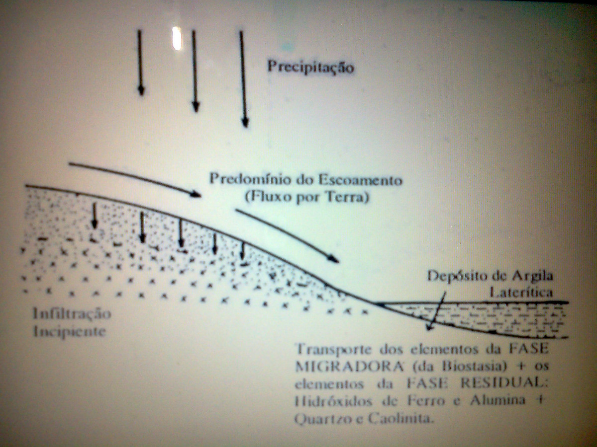 Fase Resistásica