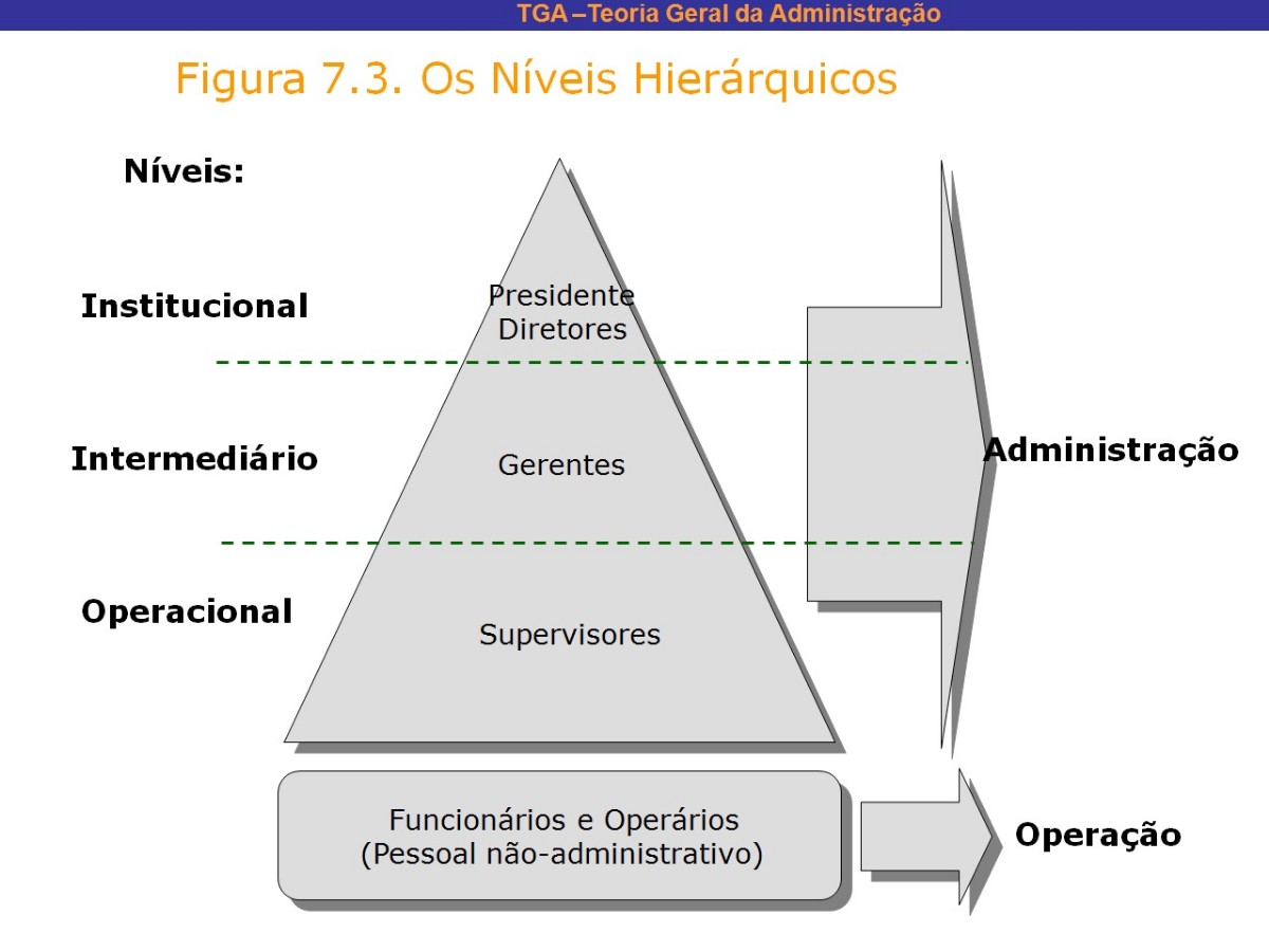 Níveis Hierárquicos da empresa