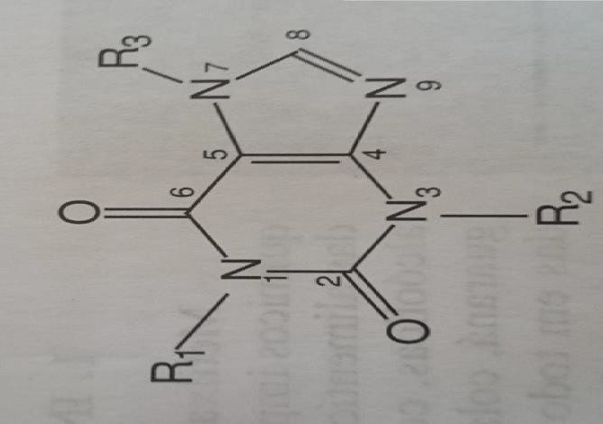 Figura 1