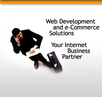 Web solution