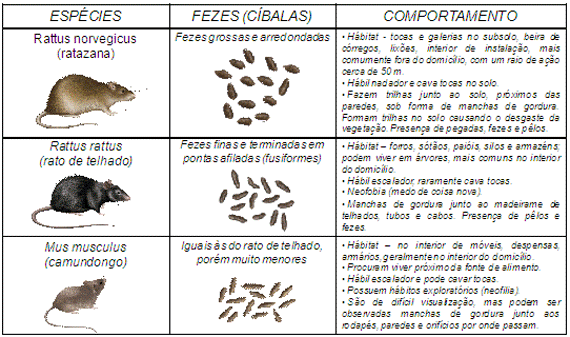 https://img.comunidades.net/pro/prozakaallnews/34209.gif