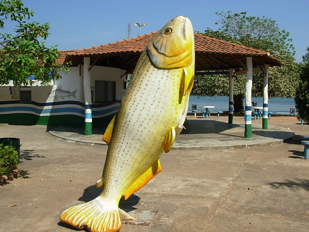 prainha 