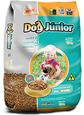 dog junior