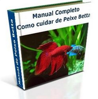 Renda Extra - Manual Completo de Como Cuidar de Peixe Betta