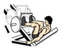 Leg Press