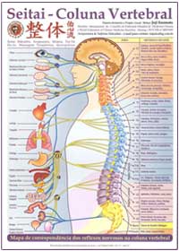 seitai jóji enomoto coluna vertebral