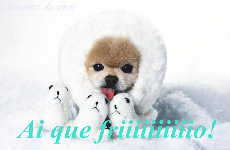 Muito frio