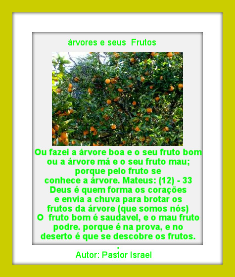 temos  bons  frutos