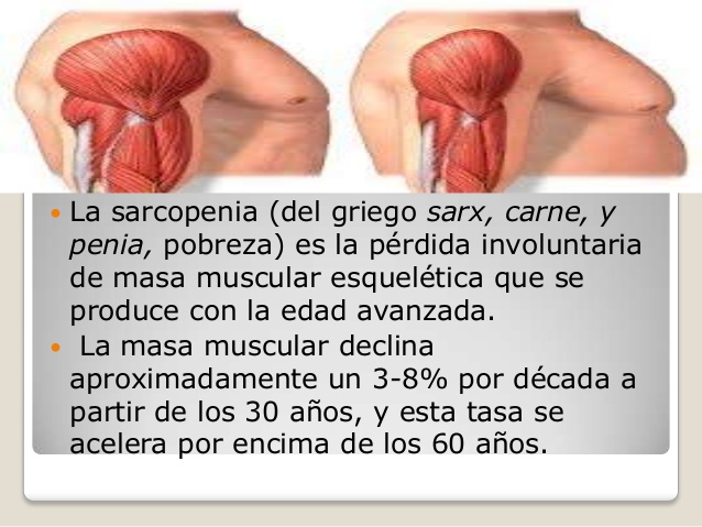 proteina terceira idade