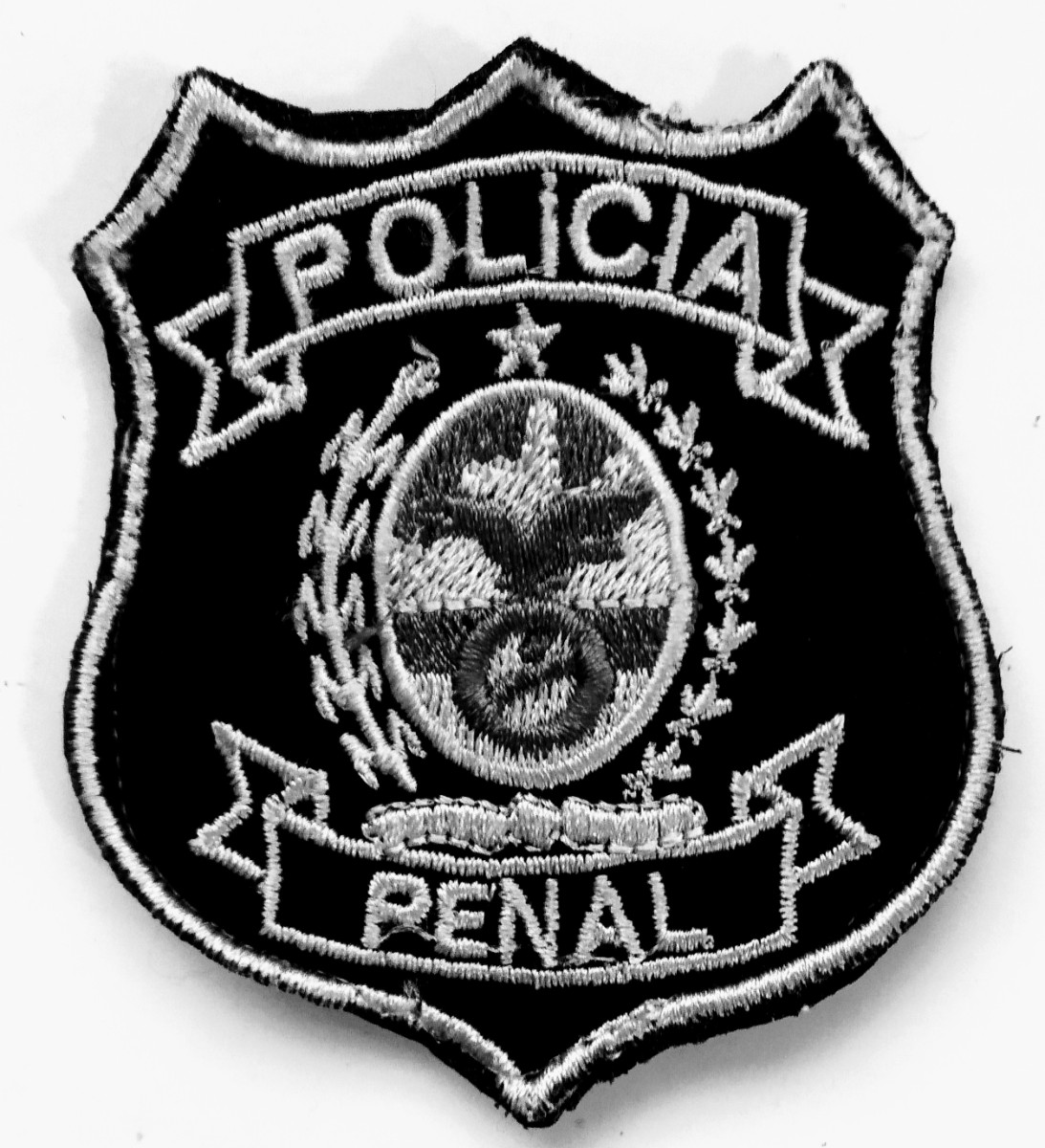 Polícia Penal