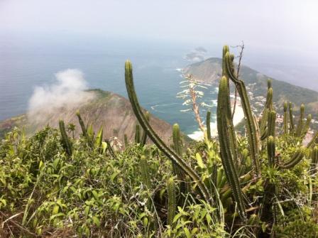 Itacoa