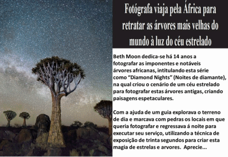 Árvores Africanas sob céu estrelado