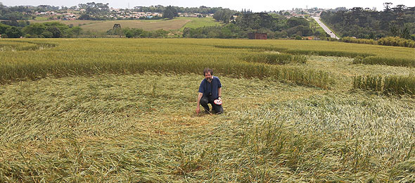 O agroglifo de Prudentópolis