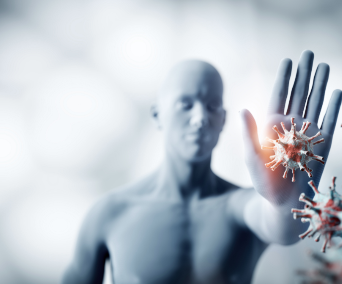 Foto ilustra&ccedil;&atilde;o do sistema imunol&oacute;gico (corpo)