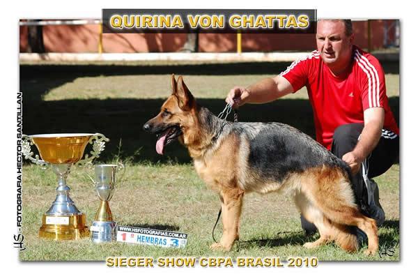 Quirina