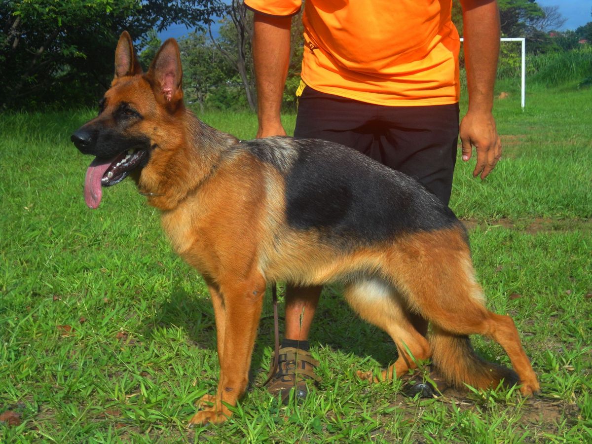 Kimba von Ghattas